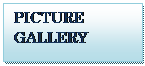 Text Box: PICTURE GALLERY