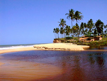prado, bahia, turismo, mercugulho, ecoturismo, aventura, cicloturismo, caminha, trekking, prado bahia, pradobahia, pradobahiabrasil, guia de turismo, guia de aventuras, alcoba�a, carevelas, porto seguro, cumuruxatiba. abrolhos, corumbau, recifes das guaratibas, recifes das timbebas, prado bahia, cara�va, praia do espelho, trancoso, rio cahy, barra do cahy, tour das praias, prado bahia