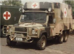 Perentie