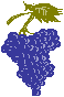 uva