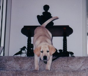 Ashley on stairs