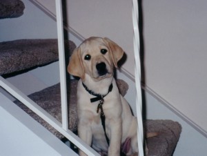 Ashley on stairs
