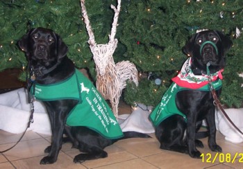 Hansa and Lanai