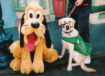 roswell with pluto