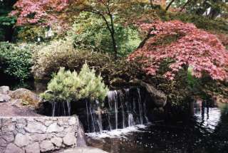 A corner in the famous Butchart Gardens, Vancouver Island