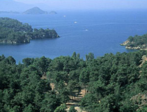 Katranci