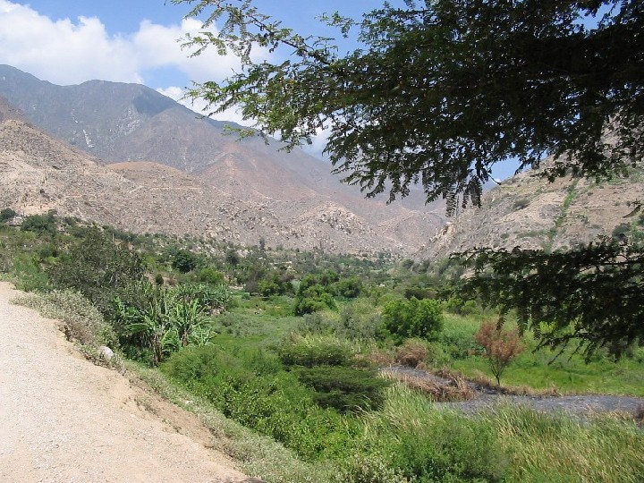 Further down the valley, looking back. M�s abajo en la valle, mirando para tr�s.