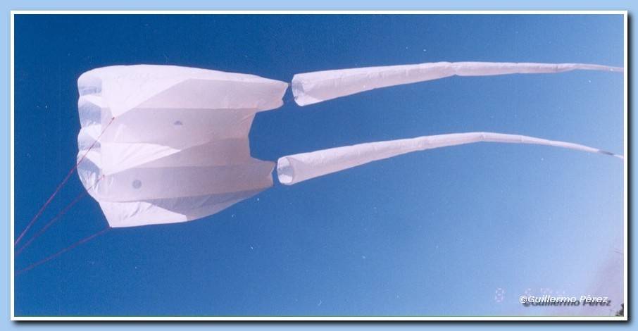 Flowform blanco