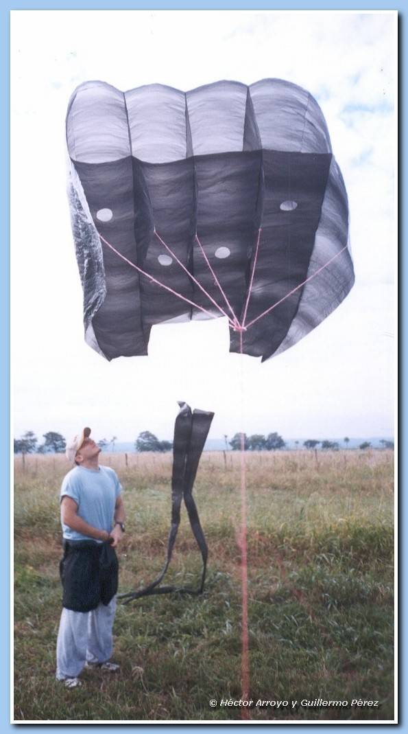 Flowform gigante