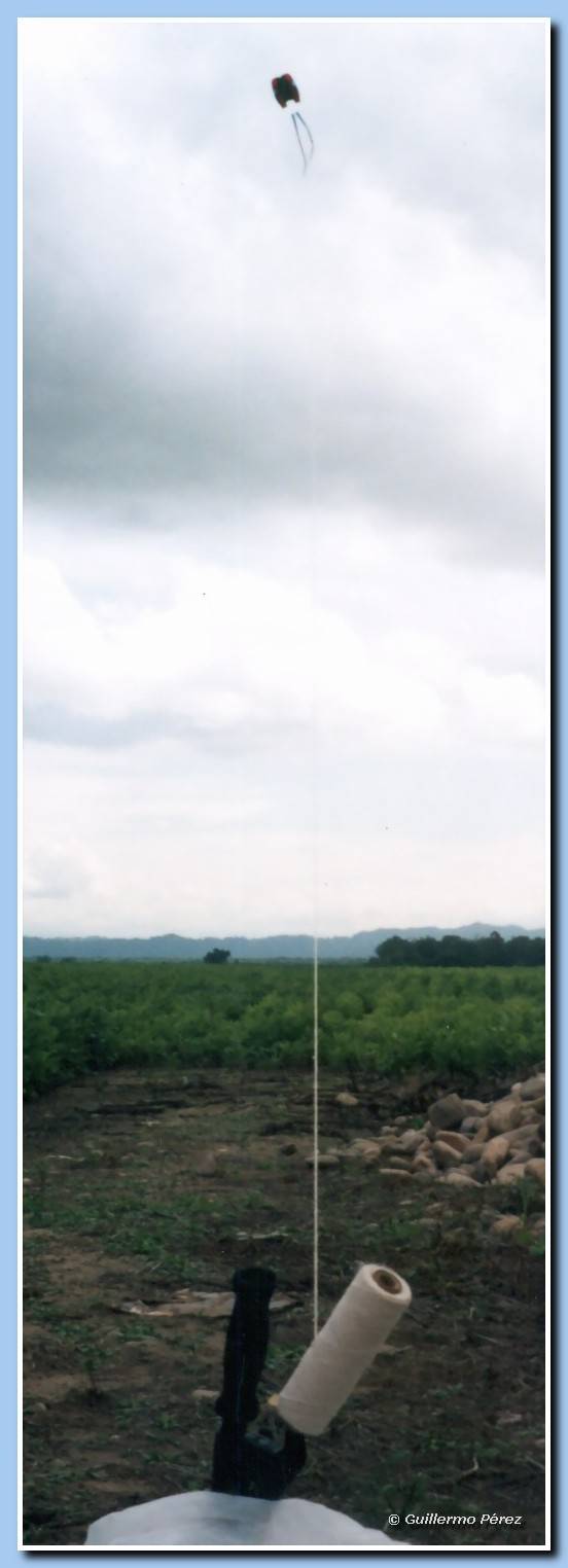 FlowForm 11