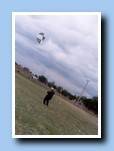 [Click para agrandar imagen]