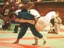 osotogari