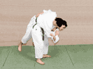 ogoshi
