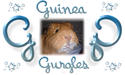 Our Logo - original idea by Drewby!