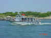 4july_boat_trip.jpg (82849 bytes)
