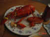4july_lobster1.jpg (73336 bytes)
