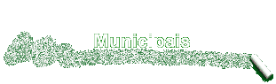 Municipais