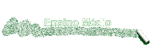 Ensino M�dio