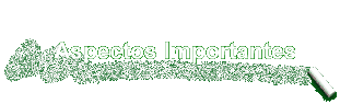 Aspectos Importantes
