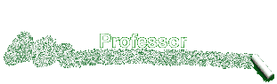 Professor
