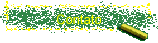Contato