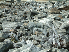 Rock Field