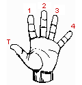 guitar playing hand picture
