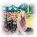 `Regent`s Park`