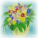 `Happy Birthday`
