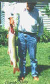 1996.jpg (18233 bytes)