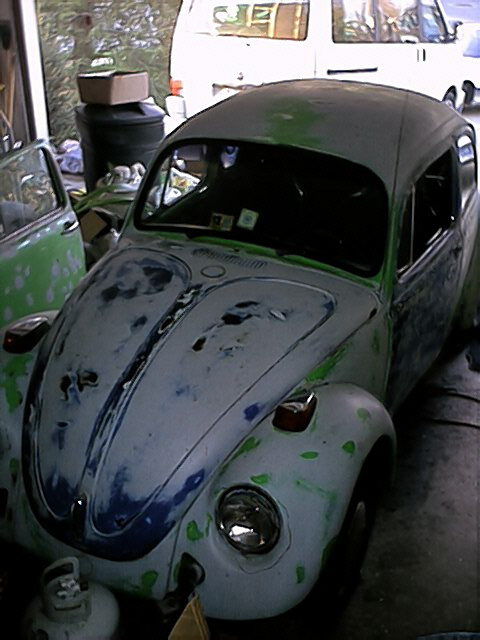 Beetle Front