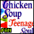 chicken soup for the teenage soul series