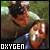 oxygen