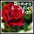 romeo and juliet by william shakespeare