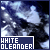 white oleander by janet fitch