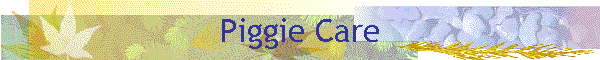 Piggie Care
