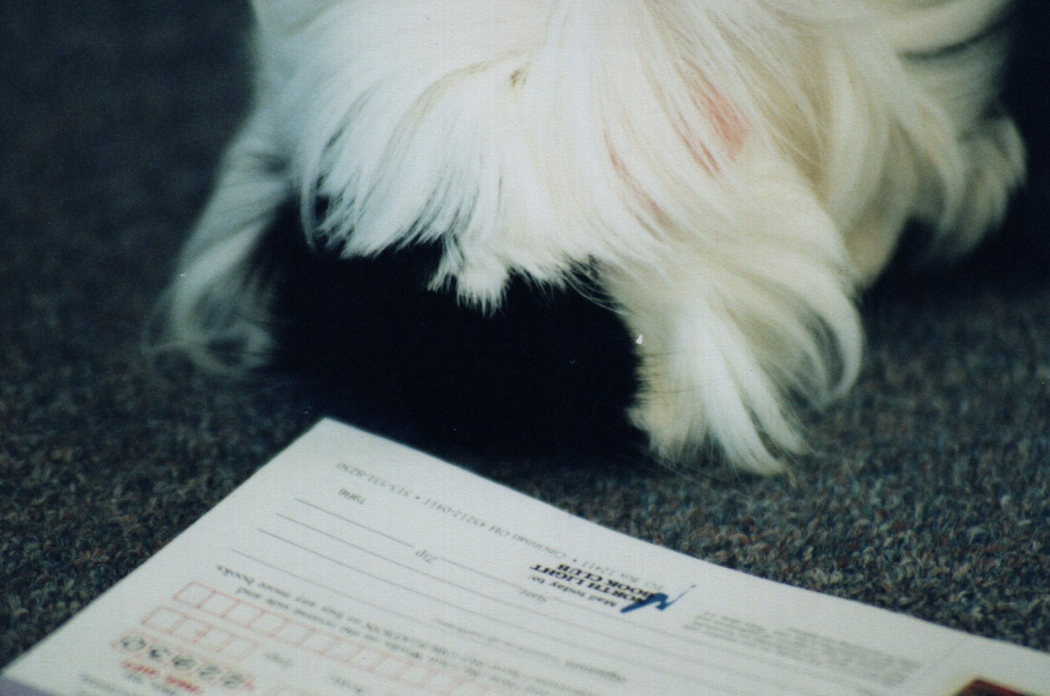 readingchubbs.jpg (253443 bytes)