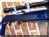 rifle-detail.jpg (38326 bytes)