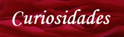 Live Era - Web Site