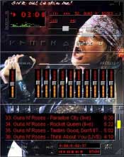 GNR Winamp Skin 6