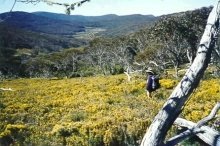 Brindabella Ranges, ACT, near Canberra