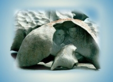 Men of stone?