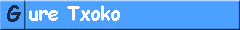 [ �Qu� es GURE TXOKO? ]