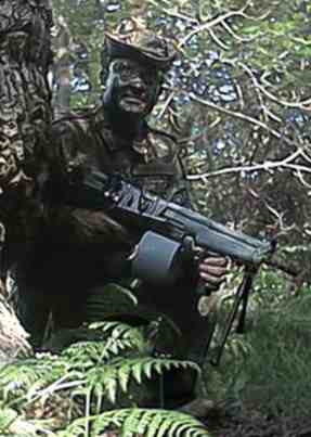 FACEMAN lets loose the BUSHPIG