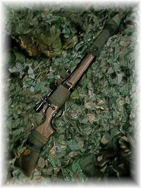 APS JACKEL