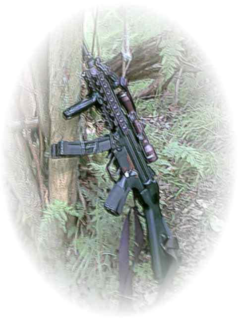 SCOTT's MP5A4 RIS Custom