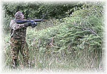 Stinger on Recon