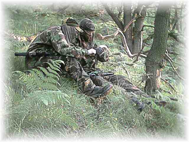 STRIKER and LEMMING read the map