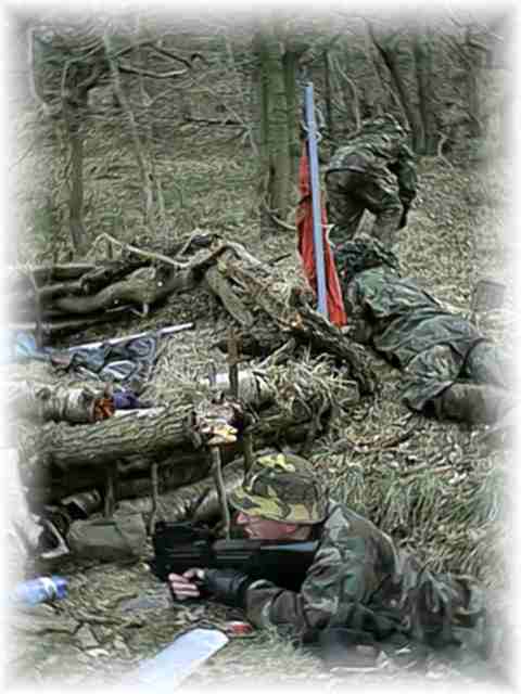 Last Stand?
