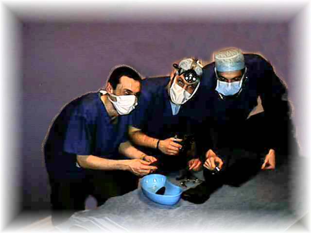 the Dr. in theatre